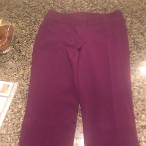 Purple dress pants